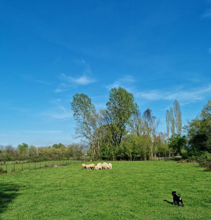 Wolf & Sheep Nature & Adventure พอดโกริกา ภายนอก รูปภาพ