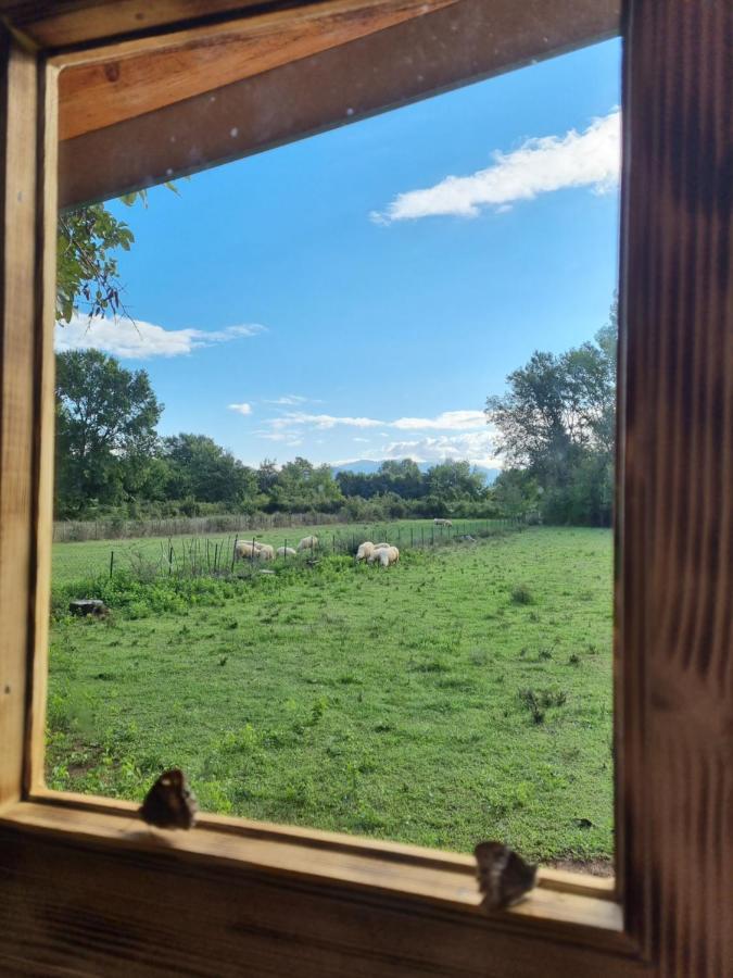 Wolf & Sheep Nature & Adventure พอดโกริกา ภายนอก รูปภาพ