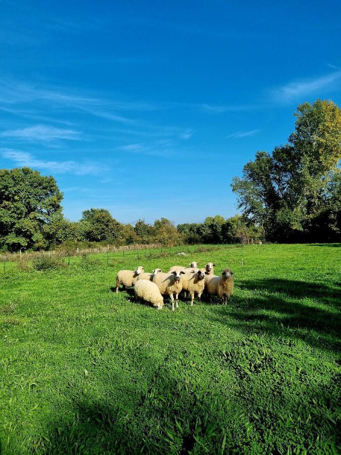 Wolf & Sheep Nature & Adventure พอดโกริกา ภายนอก รูปภาพ